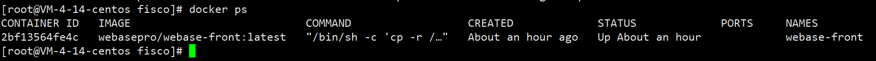 ../../../../_images/9-docker-ps.png